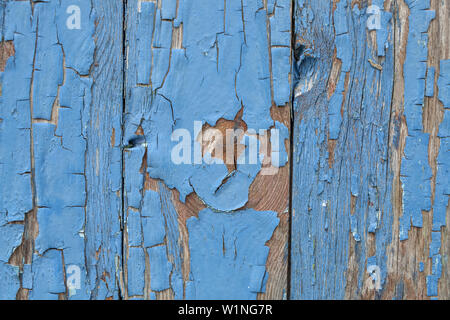 Flaking old blue paint of a wodden gate, Bohuslän, Västergötland, Götaland, South Sweden, Sweden, Scandinavia, Northern Europe, Europe Stock Photo