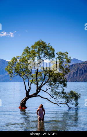 A Young Visitor Walks Out To The Iconic ‘Lone Tree’ In The Lake, Lake Wanaka, Otago Region, South Island, New Zealand Stock Photo
