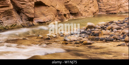 Virgin River, Narrows, Schlucht, Zion National Park, Utah, USA Stock Photo