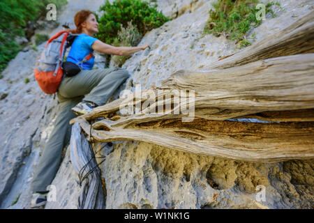 Woman climbing over juniper branches, Selvaggio Blu, National Park of the Bay of Orosei and Gennargentu, Sardinia, Italy Stock Photo