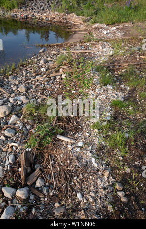 Polystyrene, styrofoam garbage on the shore. Stock Photo
