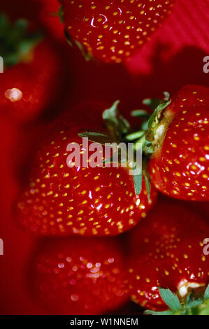 Erdbeeren, Food Stock Photo