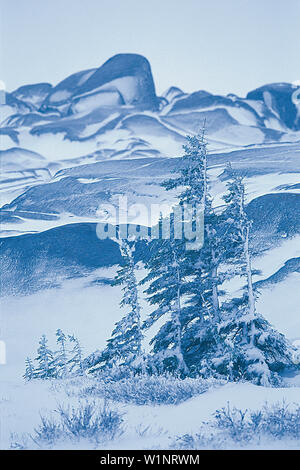 Landschaft Stock Photo