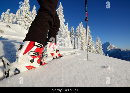 Back-country skier ascending, Wendelstein in background, Breitenstein, Mangfall Mountains, Bavarian Prealps, Upper Bavaria, Germany Stock Photo