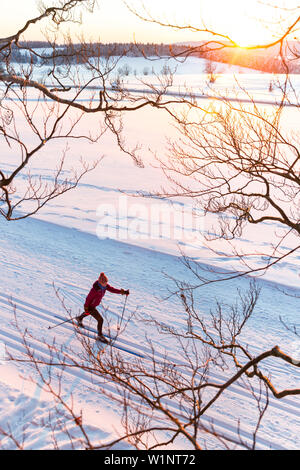 Women skiing over a snow covered field at sunset, tracks in the snow, Harz, MR, Sankt Andreasberg, Lower Saxony, Germany Stock Photo