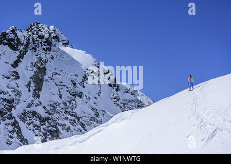 Woman back-country skiing ascending to Winnebacher Weisserkogel, Winnebacher Weisserkogel, Sellrain, Stubai Alps, Tyrol, Austria Stock Photo