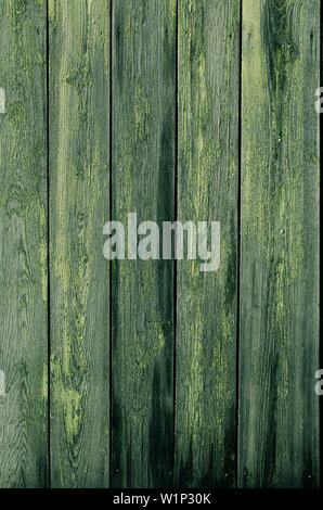 Background is made of old, vintage boards with peeling green paint. Stock Photo