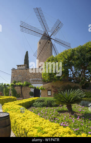 Moli des Torrent, Santa Maria del Camí, Mallorca, Balearic Islands, Spain Stock Photo