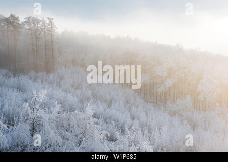 Raureif in the Wienerwald, Badener Lindkogel, Lower Austria, Austria Stock Photo