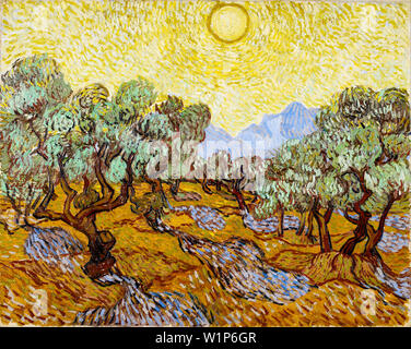 Vincent Van Gogh, Olive Trees, landscape painting, 1889 Stock Photo