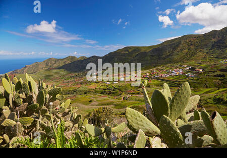 View across luxuriant vegetation at Las Portelas, Teno mountains, Tenerife, Canary Islands, Islas Canarias, Atlantic Ocean, Spain, Europe Stock Photo