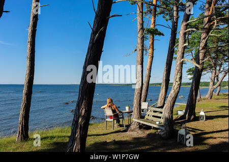 Woman at the wooden table below pine in nature reserve Ekstakusten, Schweden Stock Photo