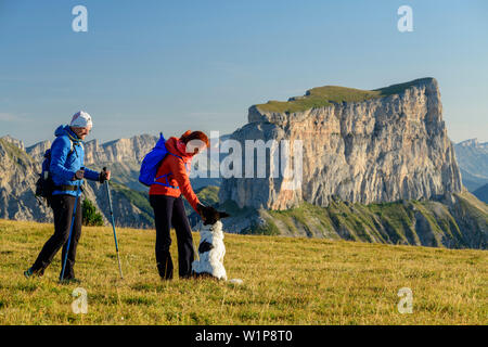 A man and a woman with dog when walking on meadow with Mont Aiguille in the background, from the Tête Chevalier, Vercors, Dauphine, Dauphine, Isère, F Stock Photo