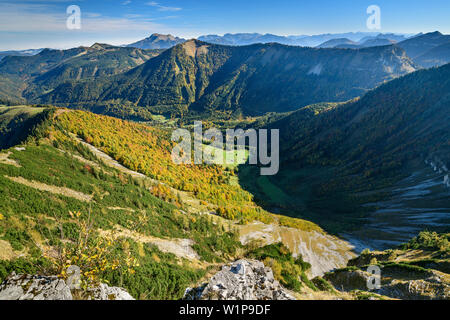 View from Regenspitz to forest in autumn colours and Koenigsberger Horn, from Regenspitz, Salzkammergut, Salzburg, Austria Stock Photo