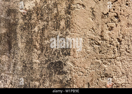 Old  gray cement or concrete wall. Grunge plastered stucco  textured background. Stock Photo