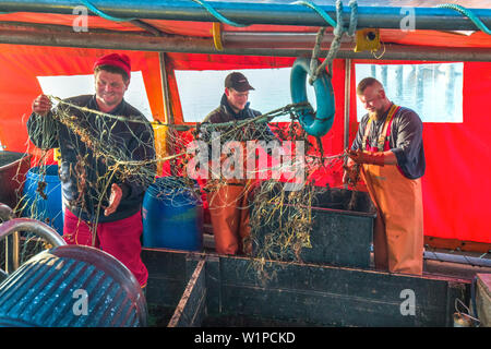 Fishermen with net, Gager, Moenchgut, Ruegen Island, Mecklenburg-Western Pomerania, Germany
