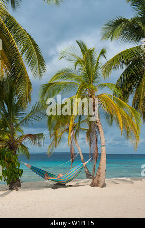 A day visitor from an expedition cruise ship relaxes in a hammock hanging between palm trees on a beach, San Blas Islands, Panama, Caribbean Stock Photo
