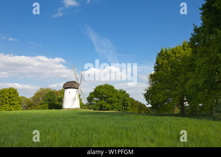 Engelsberg windmill, near Krefeld, Lower Rhine, North-Rhine Westphalia, Germany Stock Photo