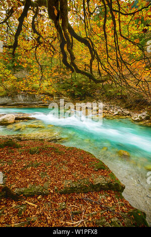 Riß valley in autumn, Karwendel region, Tirol, Austria Stock Photo