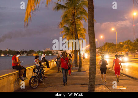 Oldtimer driving along the Malecon of Cienfuegos, meeting point in the evening and at night, nightlife, empty street, palm tree, colonial town, family Stock Photo