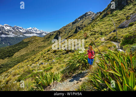 Woman hiking on Routeburn Track with Southern Alps in background, Routeburn Track, Great Walks, Fiordland National Park, UNESCO Welterbe Te Wahipounam Stock Photo
