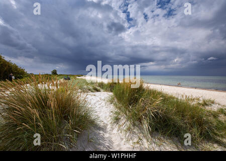 Baltic coast at Kuehlungsborn, Mecklenburg-Vorpommern, Germany Stock Photo