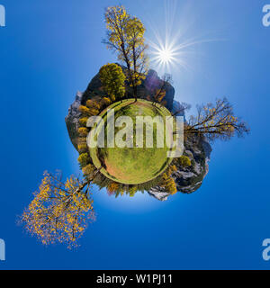 autumncolors in the Eng, maple, Acer pseudoplatanus, little planet, Austria, Europe Stock Photo