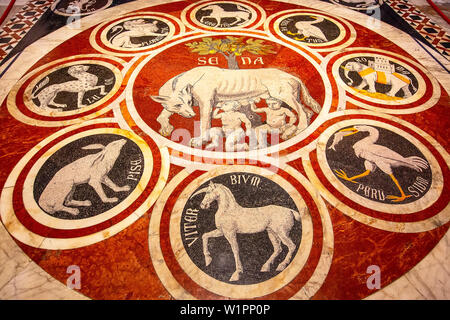 Siena Italy - October 25, 2018: Roman wolf with Romulus and Remus, founders of Rome marble mosaic floor in Siena Cathedral Stock Photo