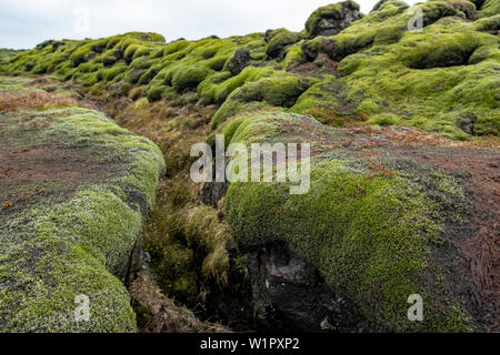 Mossy green lava fields of southern Iceland's Eldraun lava field. Stock Photo