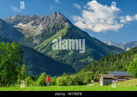 Woman hiking on Lechweg through meadow, Lechtal Alps in background, Martinau, Lechweg, valley of Lech, Tyrol, Austria Stock Photo