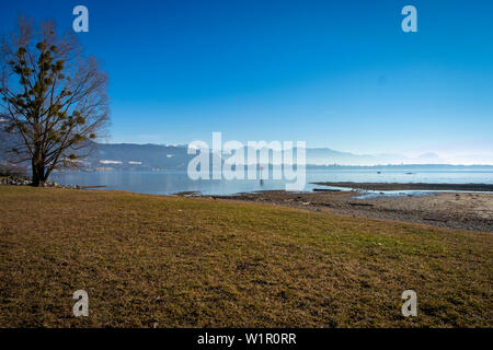 landscape at Lake Constance at the Leiblach, Austria Stock Photo