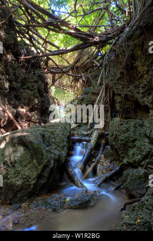 Andersons Dale Trail, Christmas Island, Australia Stock Photo