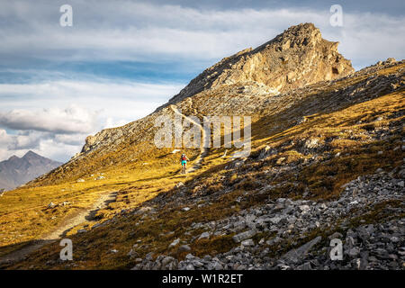 Young woman mountainbiking on a flowy single trail close to the summit of Monte Scale, Passo Stelvio, Lombardia, Italy Stock Photo