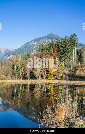 Moor lake with water reflection in Autumn, Alps, Nebelhorn, Allgaeu, Oberallgaeu, Oberstdorf, Germany Stock Photo