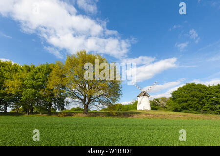 Engelsberg windmill, near Krefeld, Lower Rhine, North-Rhine Westphalia, Germany Stock Photo