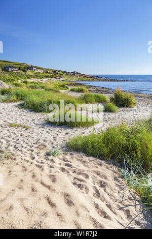 Beach near Falkenberg, Halland, South Sweden, Sweden, Scandinavia, Northern Europe, Europe Stock Photo