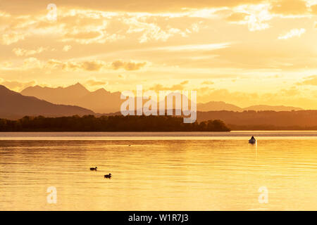 Ducks and fisherman in boat in the last evening light on the Chiemsee lake, shore and mountains as silhouettes in the background Stock Photo