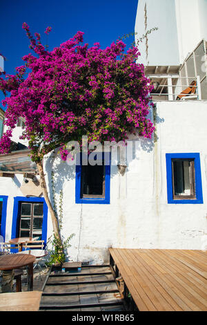 Traditional Aegean style white houses, beach, marina and colorful streets with bougainvillea flowers in Bodrum city of Turkey. Holiday in Bodrum town. Stock Photo