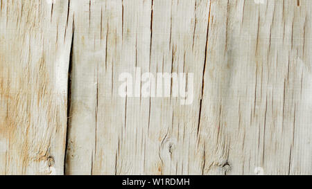 light background texture plywood painted white Veneer Stock Photo
