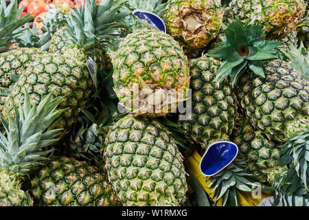 Mountain of pineapples on the counter of the store. Stock Photo