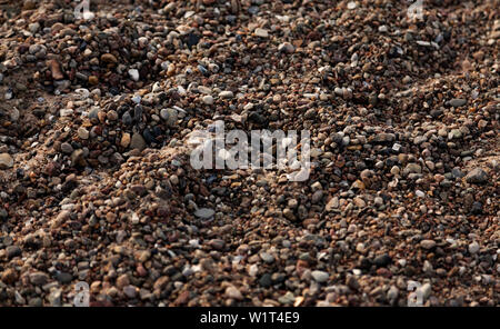 pebbles and small stones on the beach Stock Photo