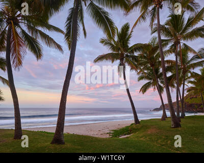 palm trees on the Beach Grande Anse La Reunion, France, Réunion, France Stock Photo