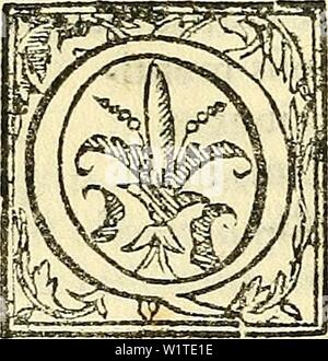 Archive image from page 475 of De plantis libri XVI (1583). De plantis libri XVI  deplantislibrixv00cesa Year: 1583 ANDREAE CAESALPINI A R E T I N I DE SVFFRVTICIBVS ET HERBIS. LIBER VNDECIMVS. Cap. Primvm.    Vab incommunifedcquatcrnaferuntfemina, oni- nia,qua: hucufquenouerimingenerehumili, follicu lo quodam florem tegenteincluduntur, nec iis aliud vafculum proprium datum eft intra florem : idcirco extrinfecusperfpidpoftunt femina,poftquam Hosde ciderit, nifi iterum folliculus conniueat: omnibuf- que flos ex fcdc feminisexoritur: differuntautem ; quoniam femina alia quidem cor in fummo gerun Stock Photo