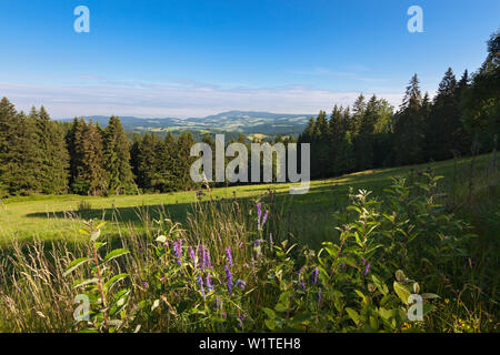 View from the Black Forest Panoramic Road, Black Forest, Baden-Wuerttemberg, Germany Stock Photo