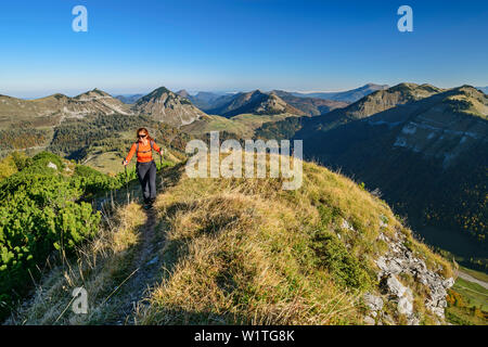 Woman hiking ascending towards Hochwieskopf, Salzkammergut Mountains in background, from Hochwieskopf, Salzkammergut, Salzburg, Austria Stock Photo