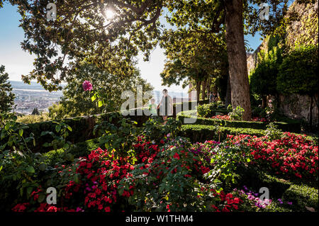 Garden in the Alhambra, Granada, Andalusia, Spain, Europe Stock Photo