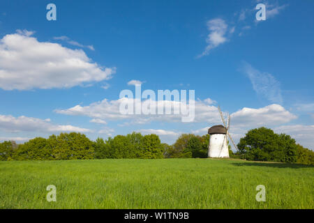 Engelsberg windmill, near Krefeld, Lower Rhine, North-Rhine Westphalia, Germany Stock Photo