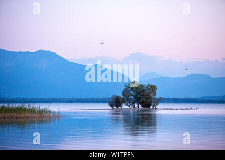 View over the Lake Chiemsee in SCHUT zing with small island and mountain panorama; evening mood in late summer Stock Photo