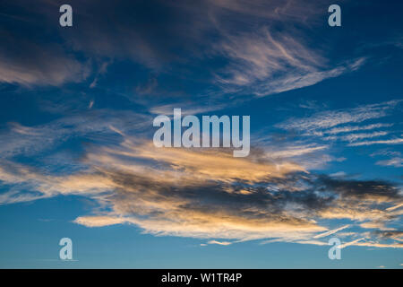 Cirrus clouds and blue sky, sunset Stock Photo