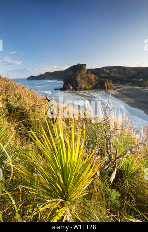 Piha, Waitakere Ranges Regional Park, Auckland, Tasman Sea, North Island, New Zealand, Oceania Stock Photo